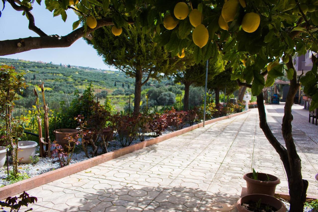 Aelia Home Elia (Crete) Exterior foto