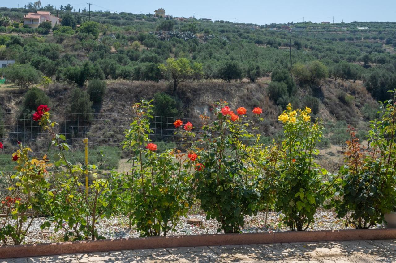 Aelia Home Elia (Crete) Exterior foto